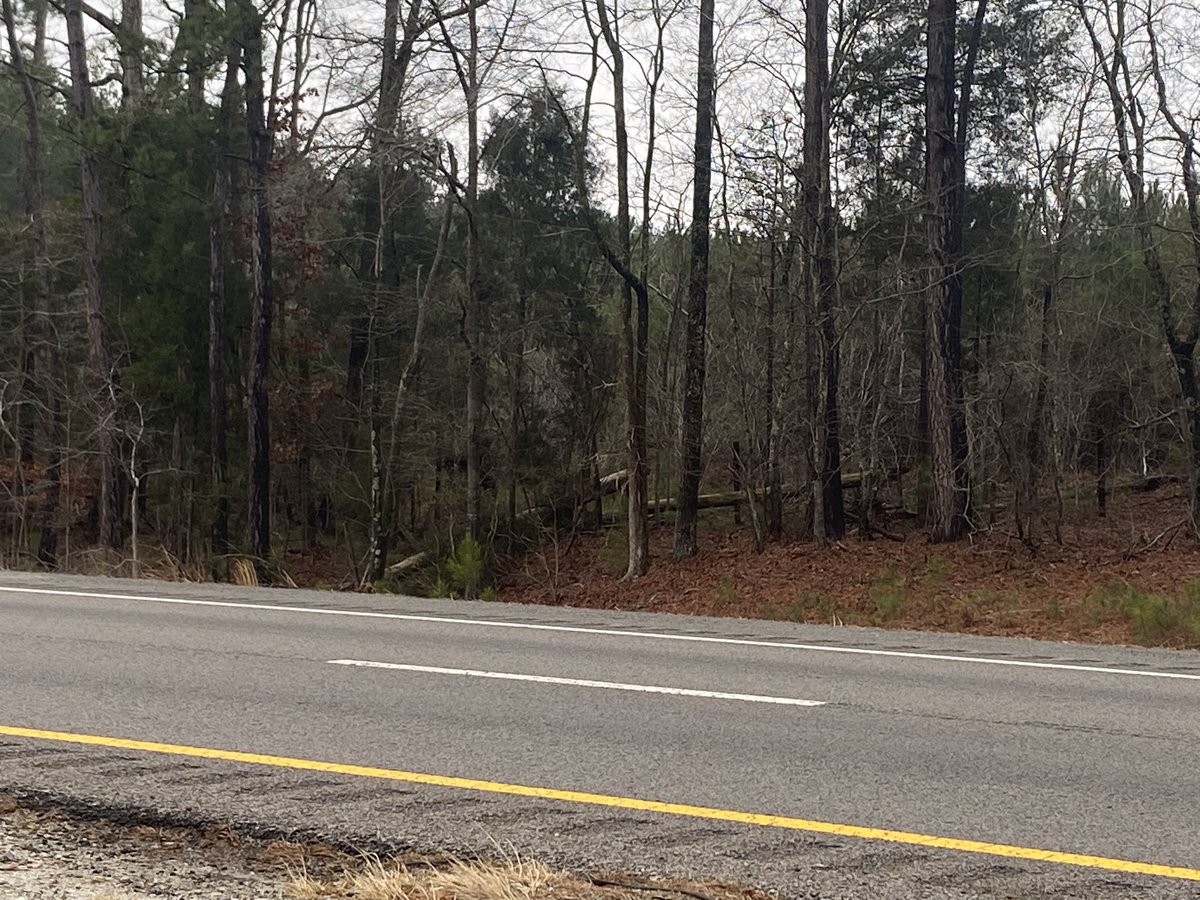 Braulis Pimentel tweet media