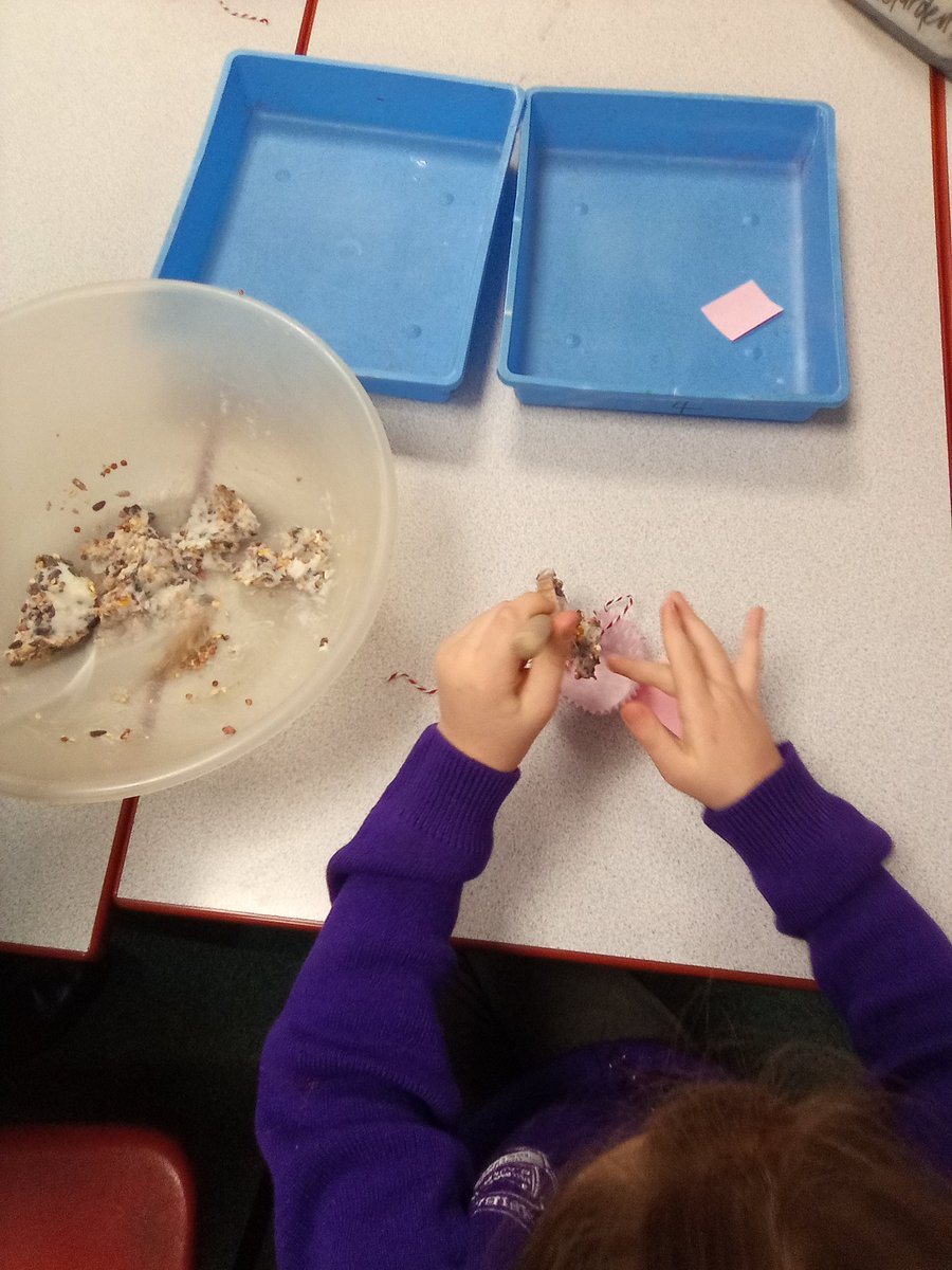 Class1Highpri's tweet photo. Today we've learnt about birds and their features. We decided to make some bird feeders to see if it'll help us spot some real life birds!
#HighfieldsScience https://t.co/rNTu02jHFG