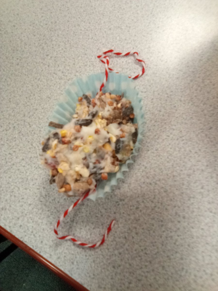 Class1Highpri's tweet photo. Today we've learnt about birds and their features. We decided to make some bird feeders to see if it'll help us spot some real life birds!
#HighfieldsScience https://t.co/rNTu02jHFG