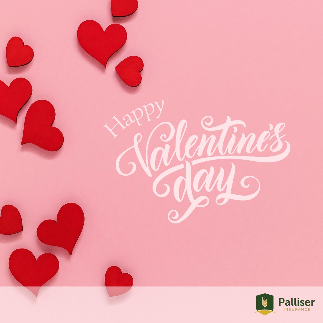 Palliser Insurance tweet media