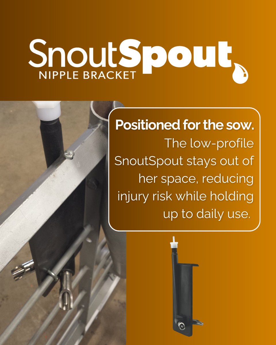 Reduced profile matters. Nothing sticking into the crate, nothing in her way; just a durable bracket that stays put. Easy to install, built to last, and designed to stay out of her living space. 

#PigEasy #easyisbetter

Learn more » pigeasy.com/pigeasy-produc…