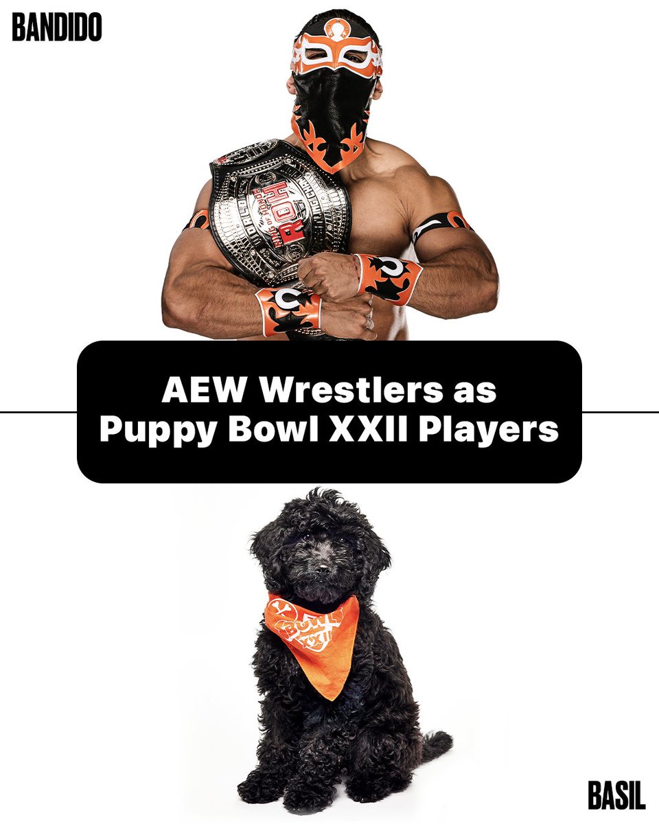 AEWonTV's tweet photo. Which of our doggie doppelgängers are your favorite as we get ready for #PuppyBowlXXII Sunday, February 8th at 2P ET /11A PT on Animal Planet, TBS, TruTV, and HBO Max! https://t.co/CAsBzjSFce