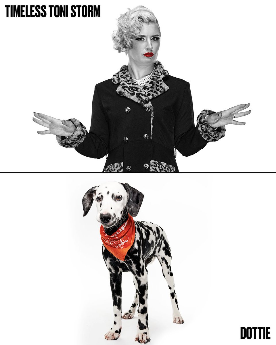 AEWonTV's tweet photo. Which of our doggie doppelgängers are your favorite as we get ready for #PuppyBowlXXII Sunday, February 8th at 2P ET /11A PT on Animal Planet, TBS, TruTV, and HBO Max! https://t.co/CAsBzjSFce