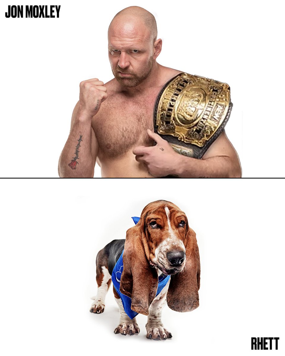 AEWonTV's tweet photo. Which of our doggie doppelgängers are your favorite as we get ready for #PuppyBowlXXII Sunday, February 8th at 2P ET /11A PT on Animal Planet, TBS, TruTV, and HBO Max! https://t.co/CAsBzjSFce