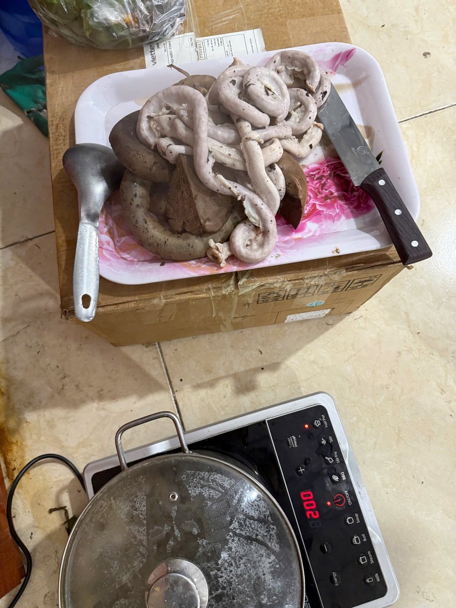 Trọng Vui l Triumph tweet media