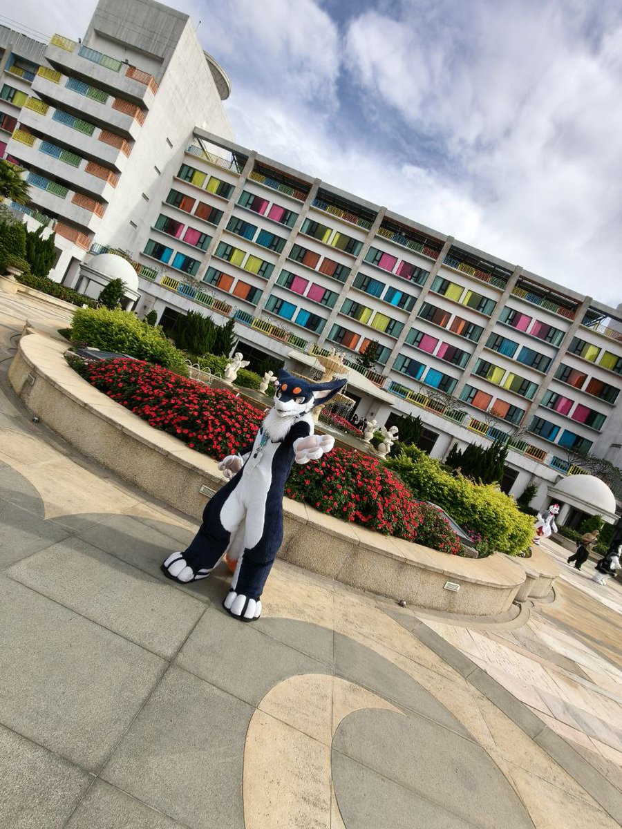 跟🐉🐉來～～
📷： <a href="/Javier26371559/">Javier 🔜 Infurnity 2026</a>
#FursuitFriday  #Infurnity2025