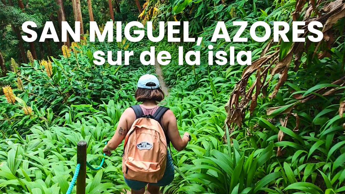 Meraviglia tweet media