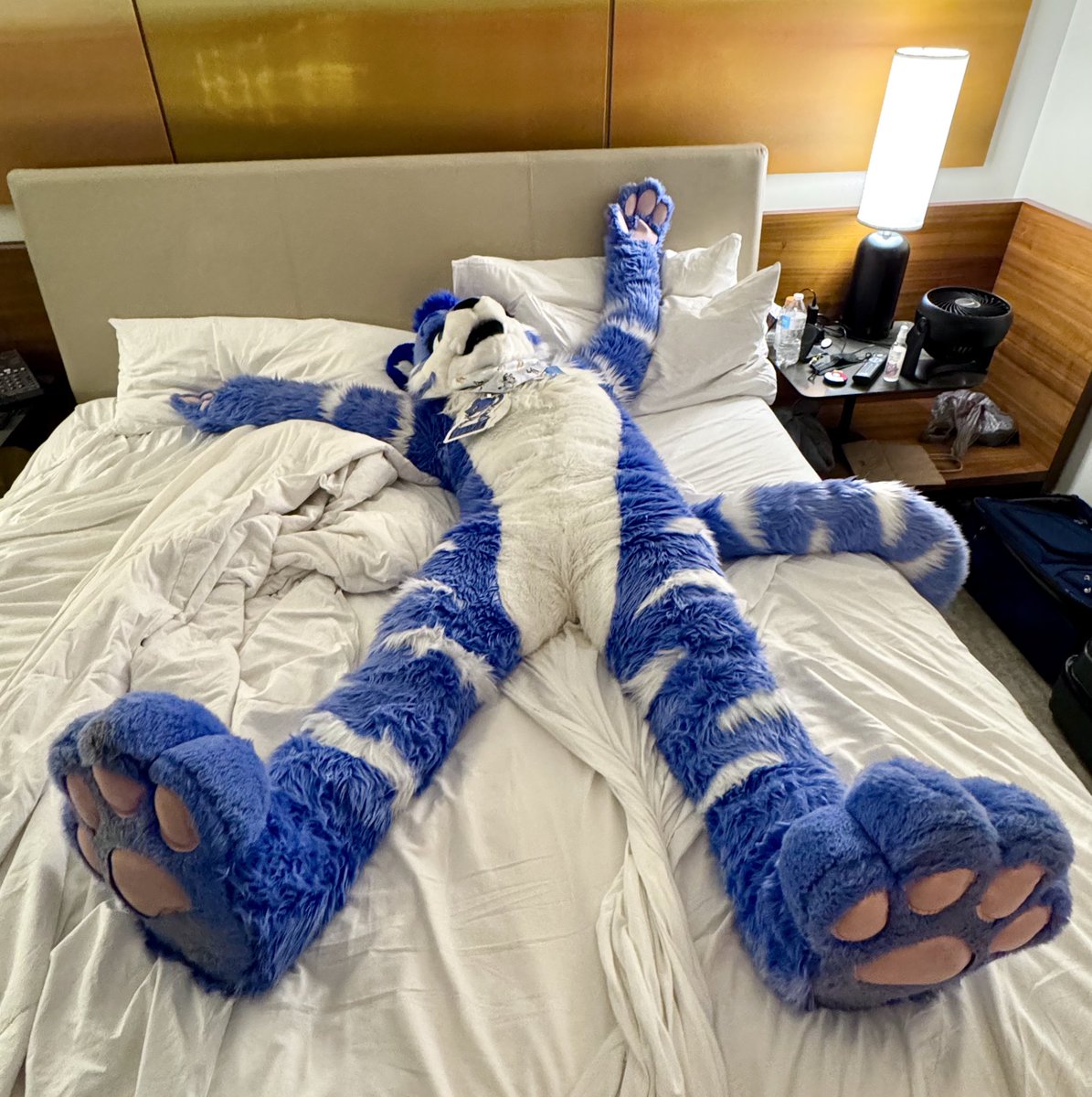 Can’t function today, I just wanna flop 😴