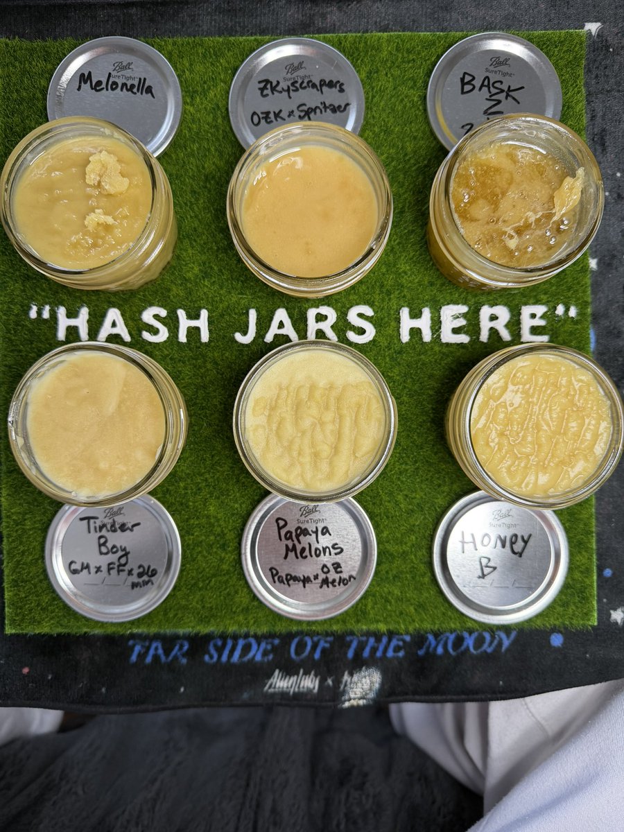 Lorenzo TerpsArmy tweet media