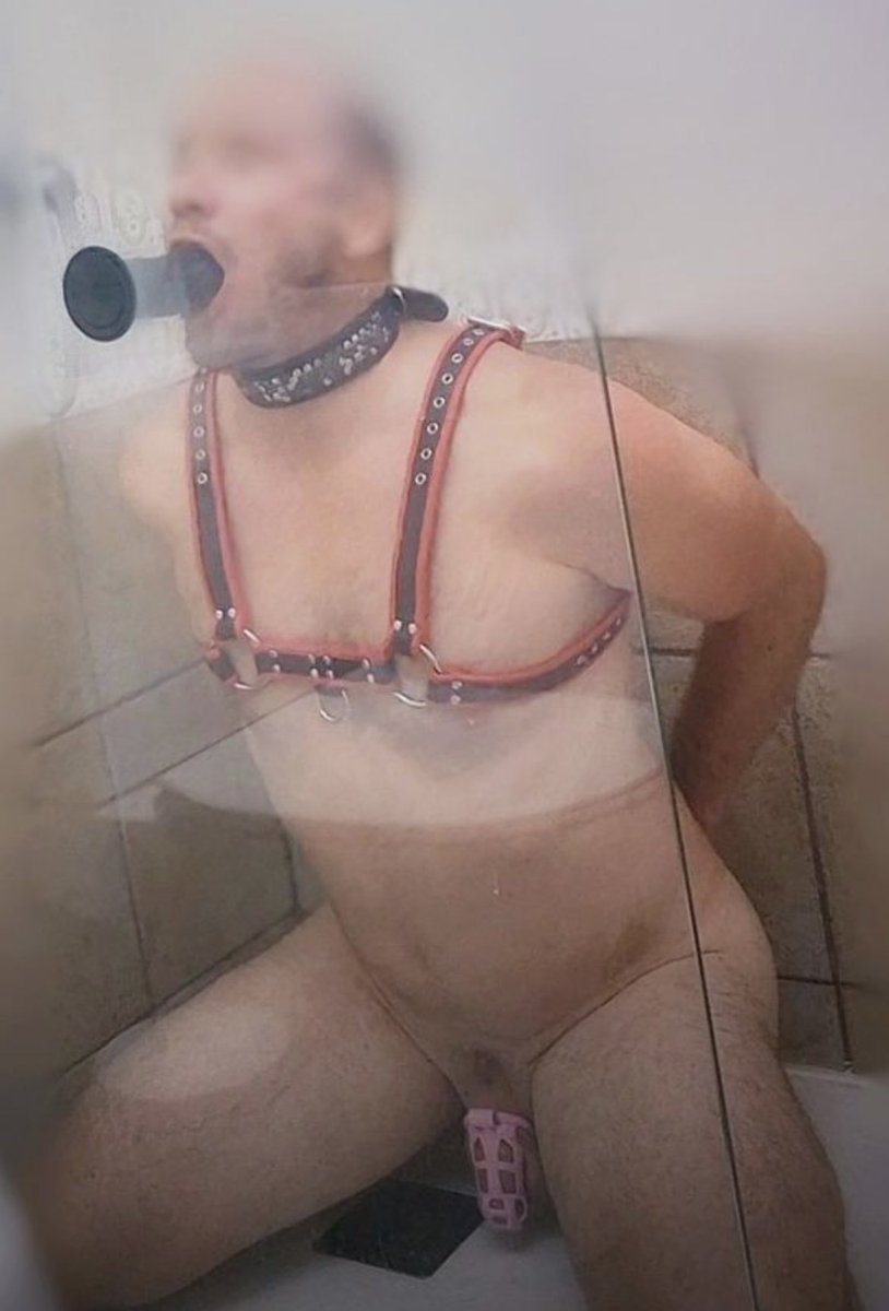 So würde ich dich auch trainieren in einer Session zusammen wir alleine Sklave!

#Saugdildo #Chasity #Analplug #Halsband