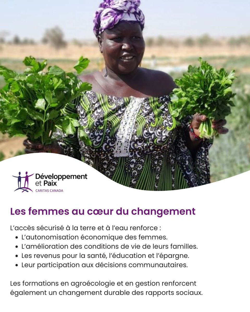 Développement et Paix - Caritas Canada tweet media
