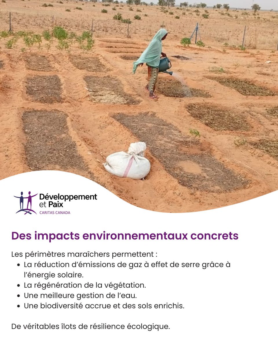 Développement et Paix - Caritas Canada tweet media