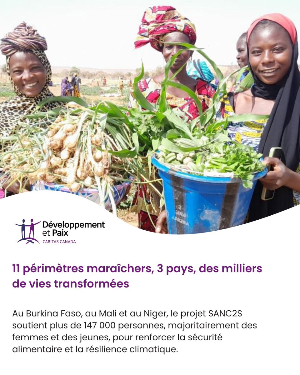 Développement et Paix - Caritas Canada tweet media