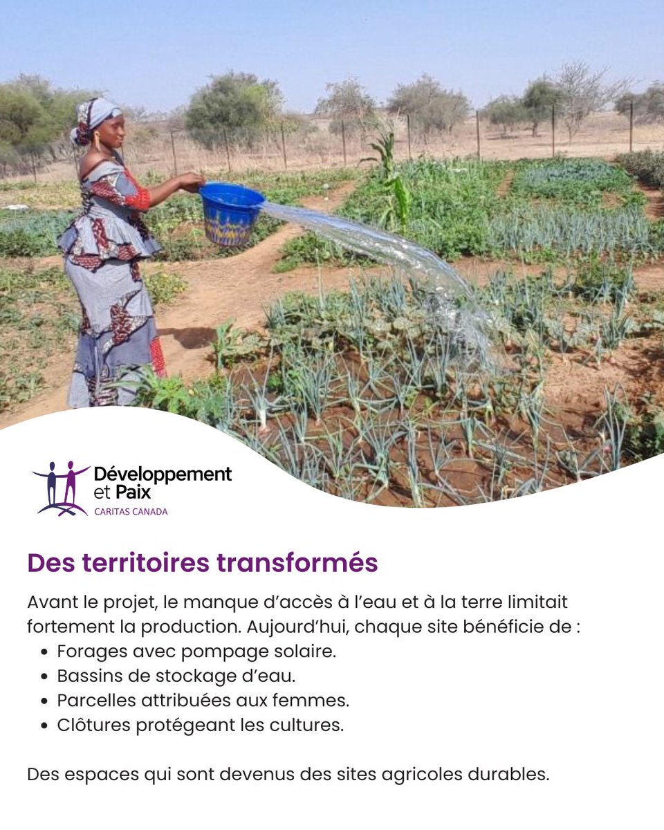Développement et Paix - Caritas Canada tweet media