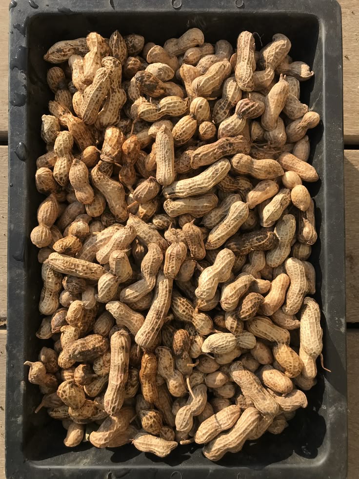 FruitfulPuzzles tweet media