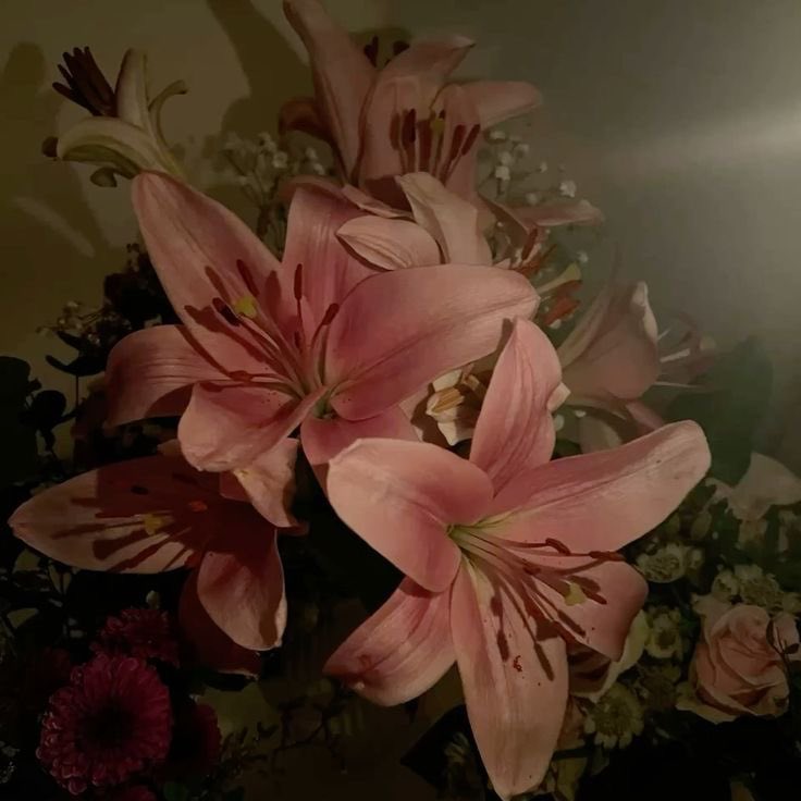 𝐍𝐮𝐧𝐚 ᢉ𐭩 tweet media