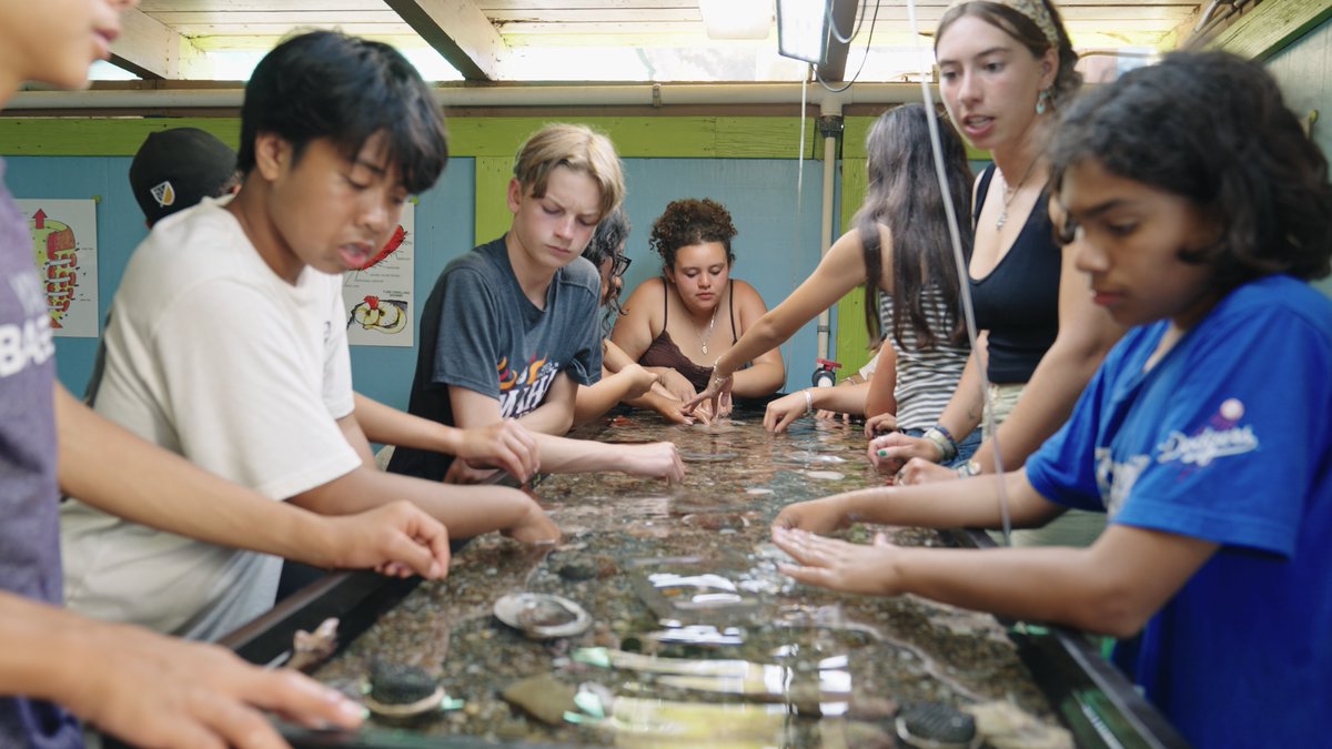 Catalina Island Marine Institute tweet media