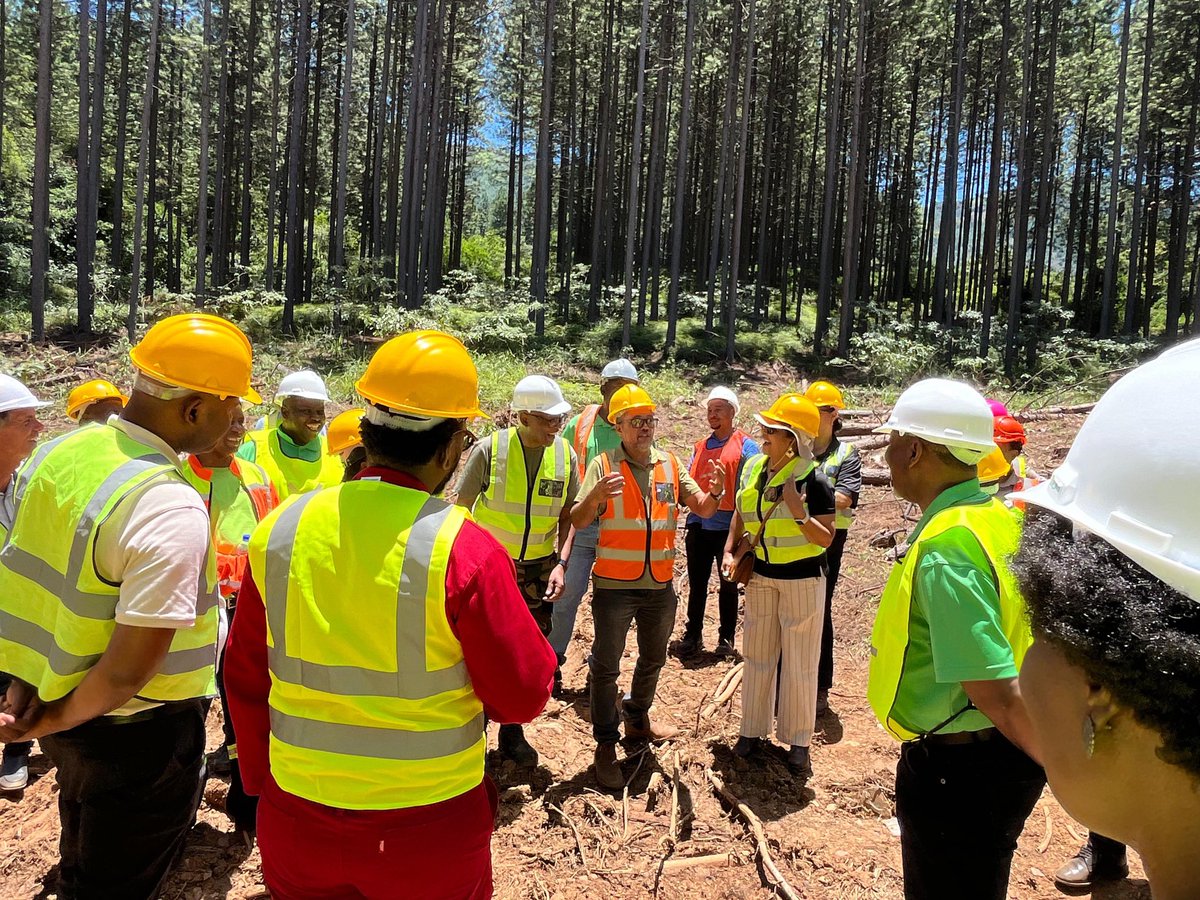Today SAFCOL had the honour of hosting the Portfolio Committee on Planning, Monitoring &amp; Evaluation at our Sabie operations in Mpumalanga.
The visit began at our Research Centre and continued to our operational sites.