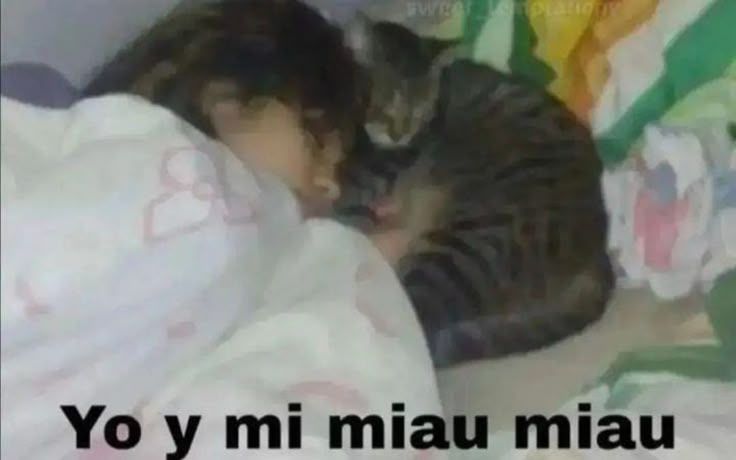 𓂃˖˳·˖ ִֶָ ⋆𝓫𝓮𝓴𝓪𝓪⋆ ִֶָ˖·˳˖𓂃 ִֶָ (@b3k4thh) on Twitter photo 