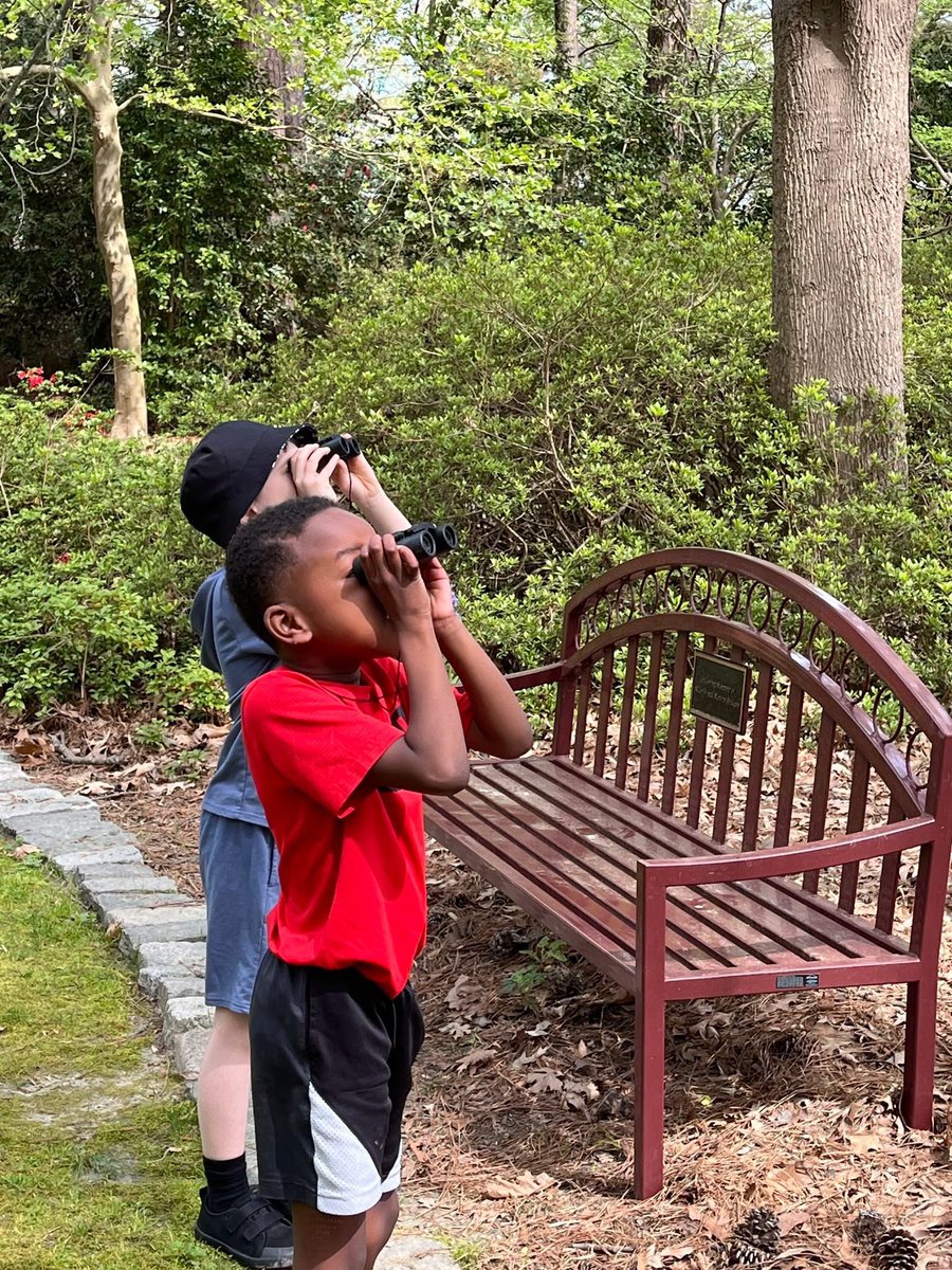 Norfolk Botanical Garden tweet media