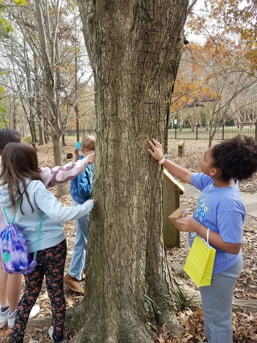 Norfolk Botanical Garden tweet media