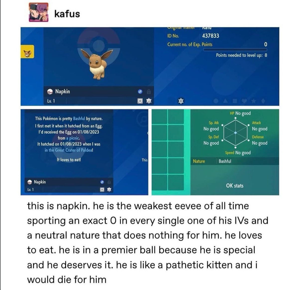 Pokémon Daily (@pokemon_dailyy) on Twitter photo 