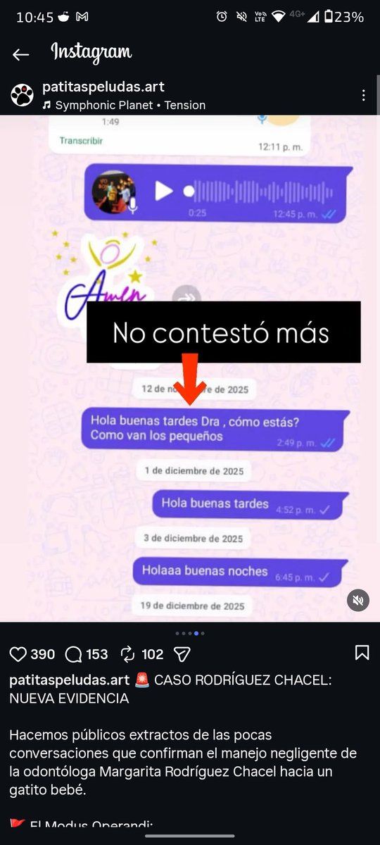 A la odontóloga Margarita Rodríguez Chacel le entregaron 31 gatitos sanos y no se sabe nada de ellos. En Instagram y Tiktok hay más publicaciones sobre este caso. Exigimos justicia, compartan esto para que llegue a más personas y se logre saber qué hizo esta señora con ellos.