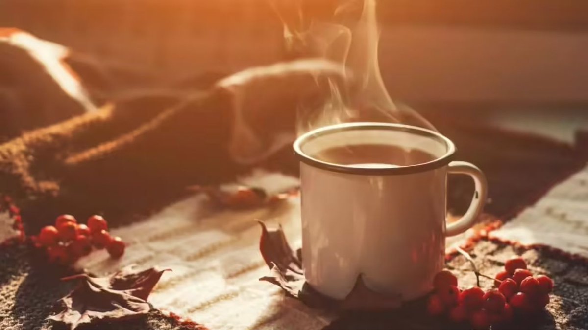 OGfactsintelugu's tweet image. Health Tips: భోజనం చేసిన వెంటనే టీ తాగుతున్నారా? అయితే మీరు ప్రమాదంలో పడ్డట్లే!

#HealthTips #TeaSideEffects #HealthyLiving #FoodHabits #AnemiaPrevention #TeluguHealthNews #ChaiLovers #Wellness 

Link&amp;gt;&amp;gt; 9knowledge.com/article/side-e…