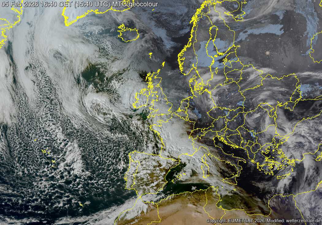 Marco M.M. tweet media