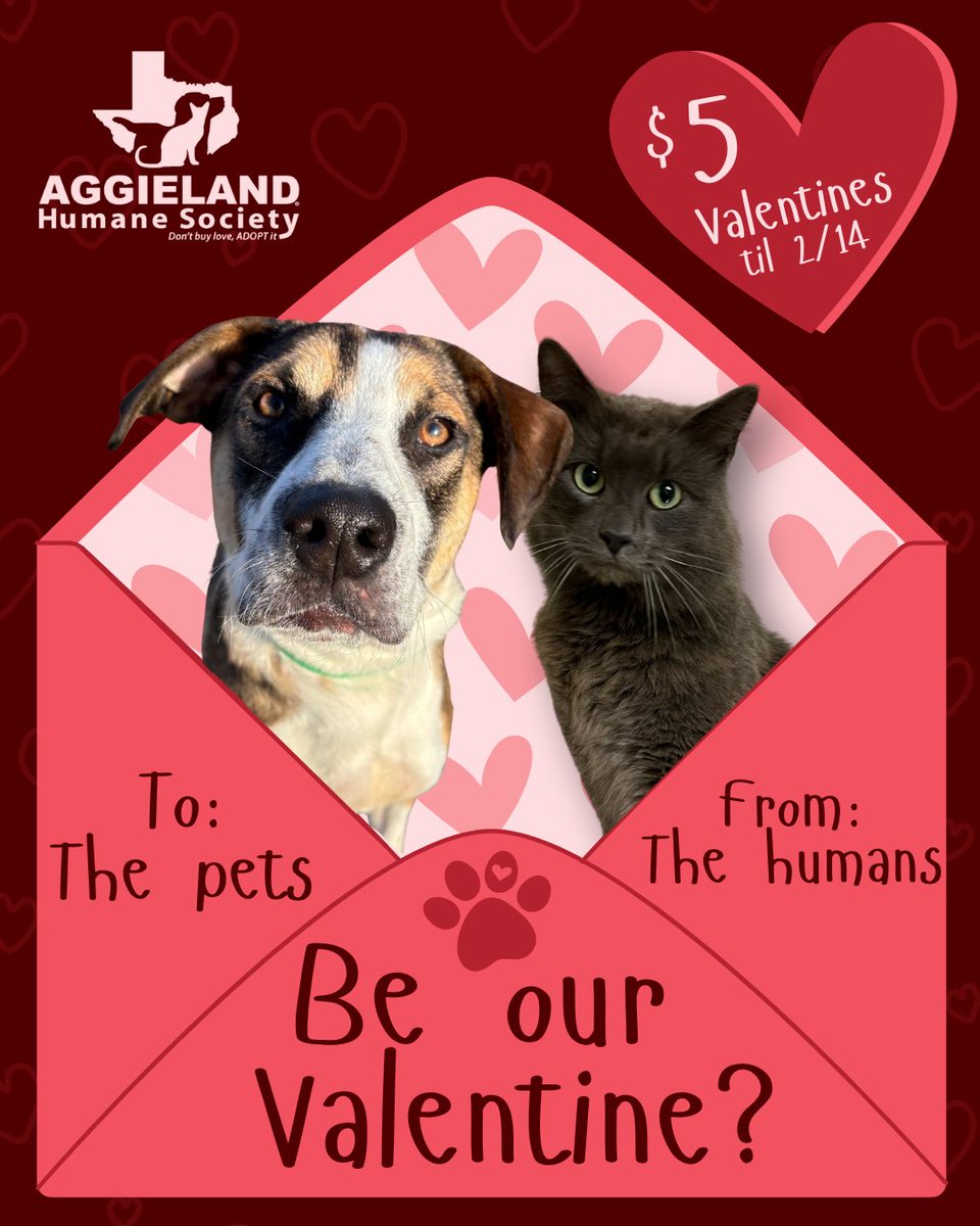 Aggieland Humane Society tweet media