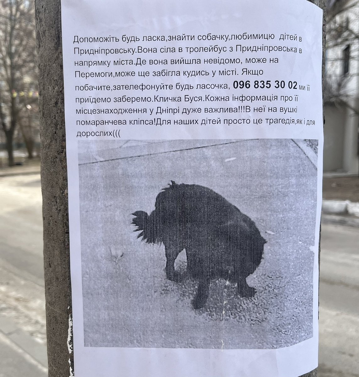 Друзі, отаке сьогодні побачила на стовпі в себе на районі
Репост, будь ласка (це Дніпро, якщо шо)
Шкода фото чорно-біле, але раптом знайдеться 🥹