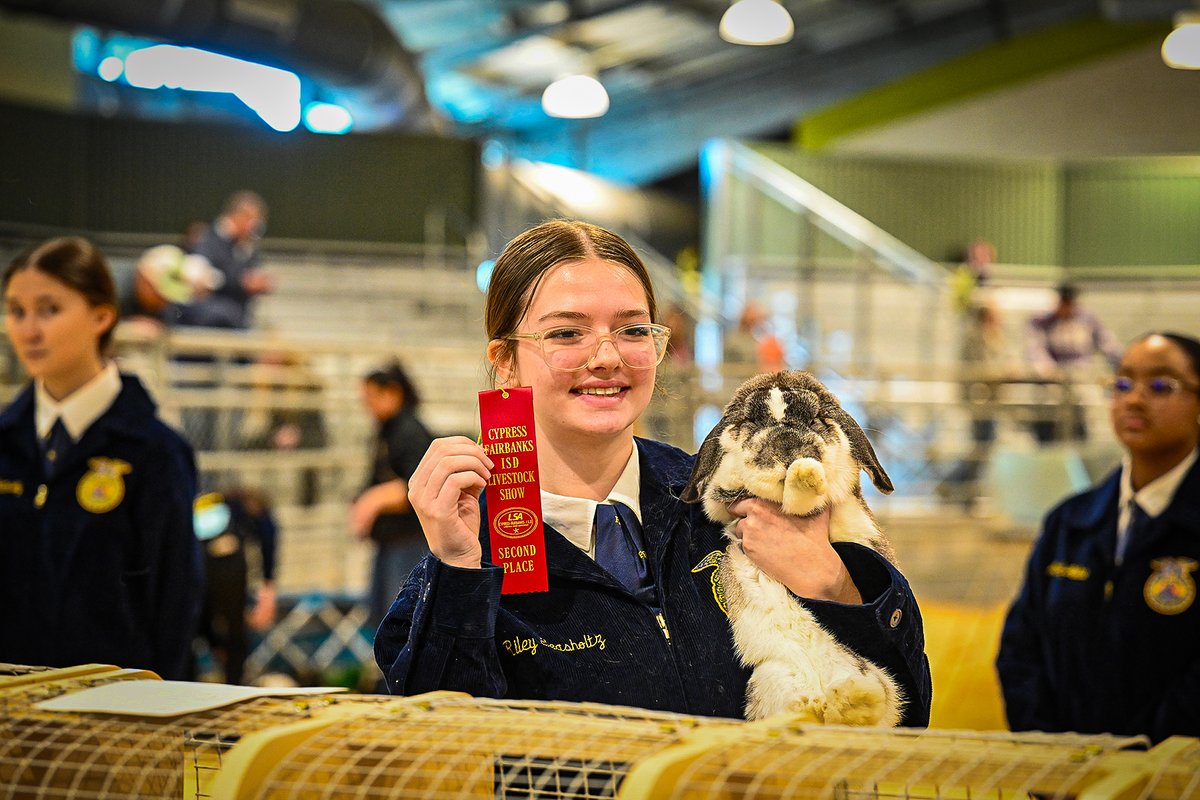 TheMs_B's tweet photo. The 2026 @CyFairISD Livestock Show is off to a great start! Congratulations to all Rabbit placements and winners! Breeding Rabbit Results are as follows: 
🥇Grand Champion: London Carlis, @CySpringsHS 
🥈 Grand Reserve: Mia Mosqueda, @BridgelandCFISD #ChooseCFISD #CFISDLSA2026 https://t.co/aYauRmysSp
