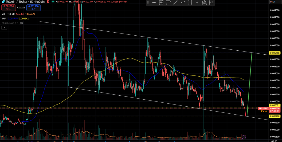 The Crypto Hodler ⓣ tweet media