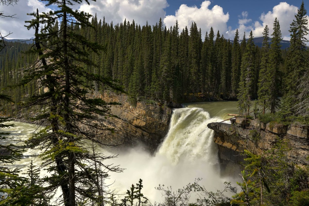 StarrySummitCDN's tweet photo. Looking for intro backcountry camping, we have a 3 day trip to Snake Indian Falls on Jasper's North Boundary Trail July 12-14. This is one of the most spectacular waterfalls in the Rockies (and peaceful without crowds). https://t.co/BfVYkX090D
#MyJasper
#CanadianRockies https://t.co/MMLfsdVYxX