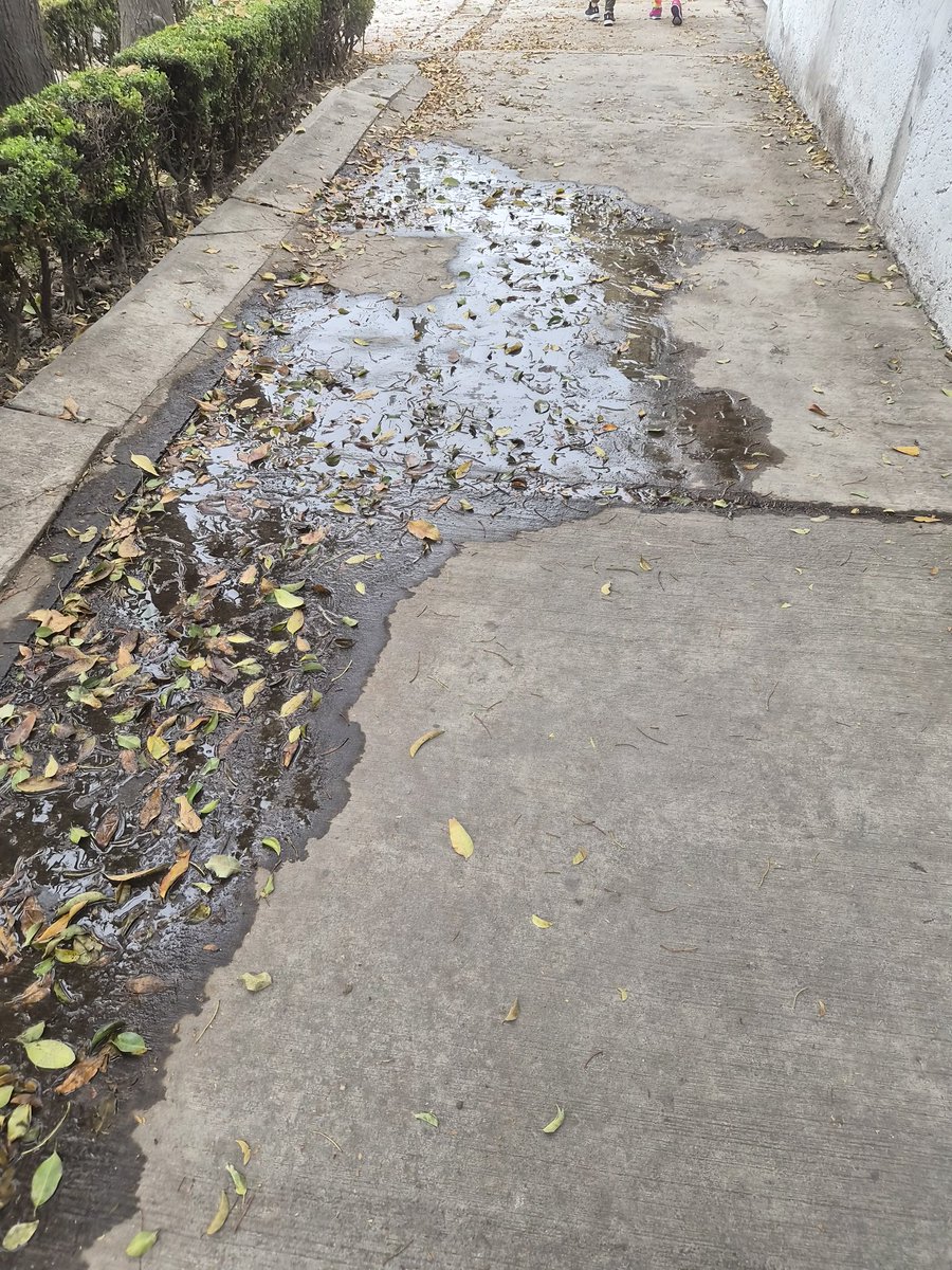 erikaa_caam's tweet photo. @SACMEX_DENUNCIA @Alc_Iztapalapa @ClaraBrugadaM 

Esta fuga lleva meses! Y nadie ha venido a repararla, todos los días amanece peor.

Alcaldía iztapalapa. https://t.co/mJqAzJgWyW
