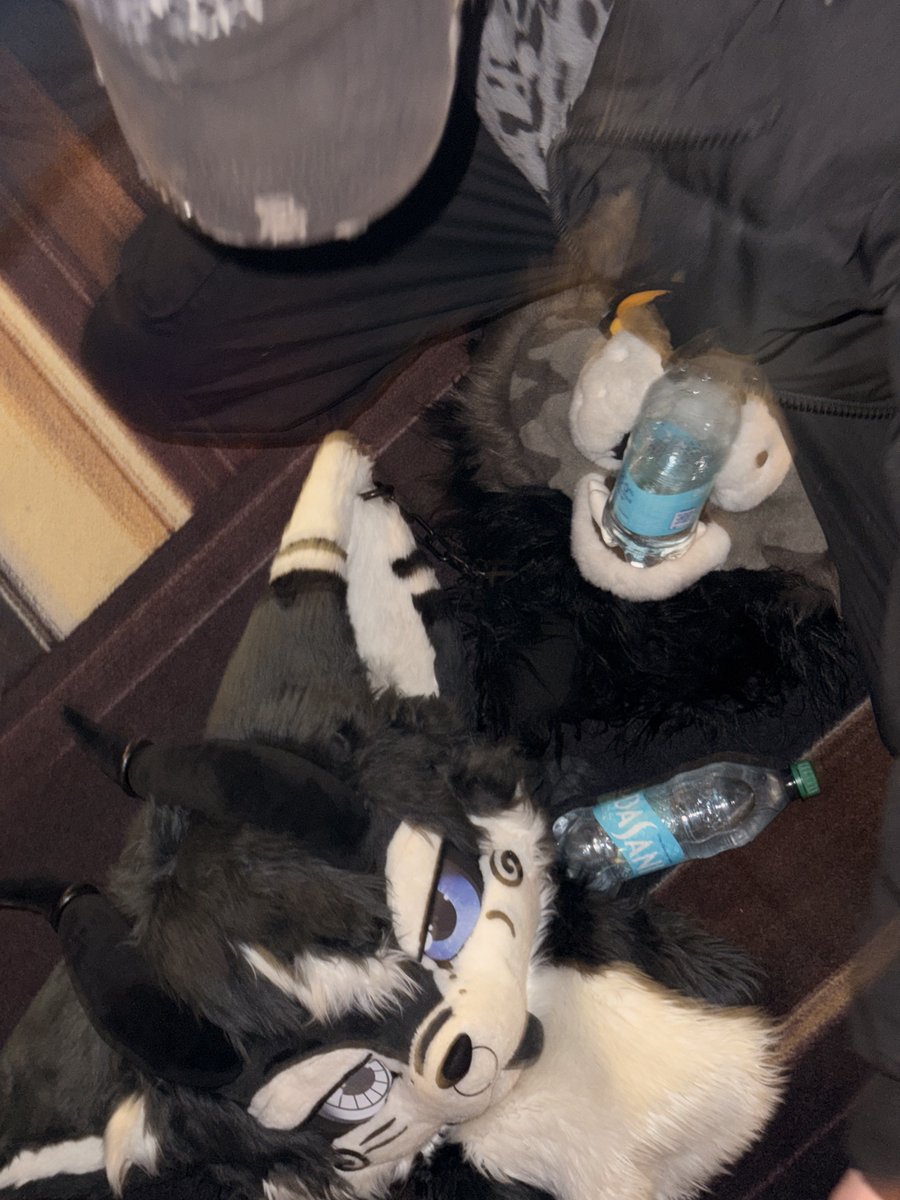 ✨Sketch✨🔜TFF tweet media