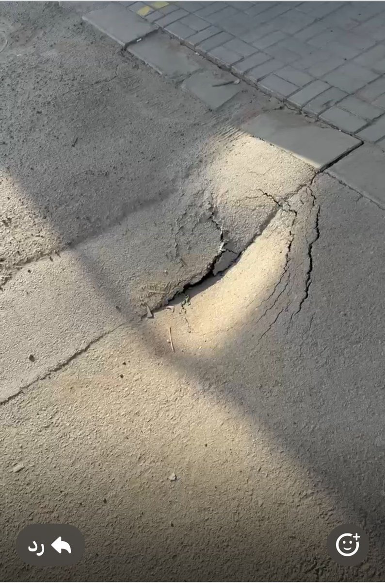 بندر tweet media