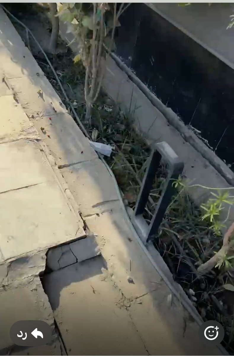 بندر tweet media