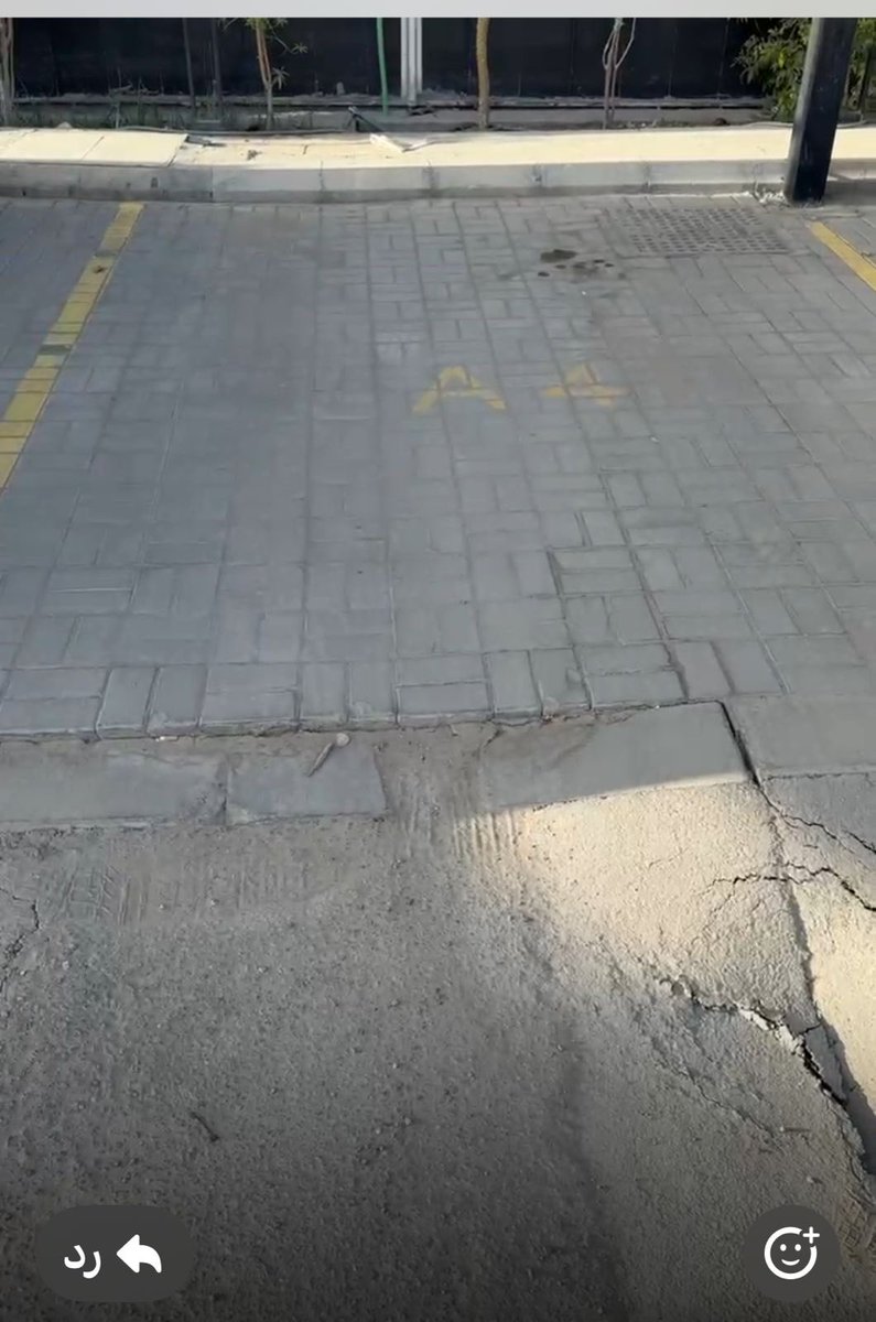 بندر tweet media