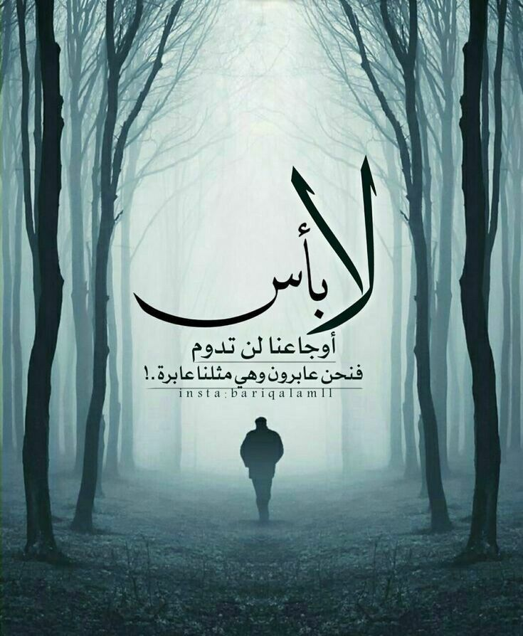 marsiliatalb's tweet photo. https://t.co/rTubRGzM00