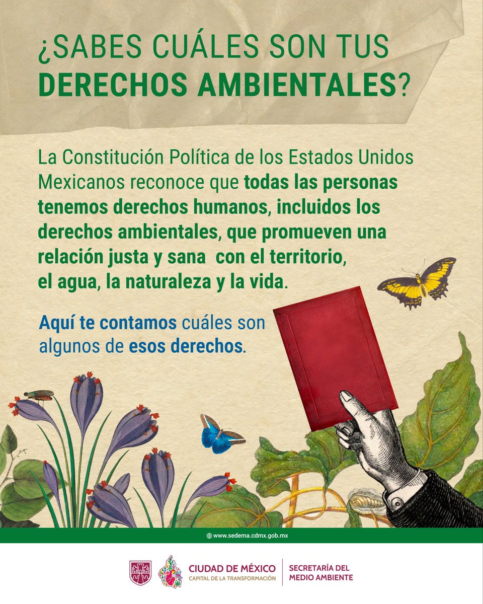 La Constitución Política de los Estados Unidos Mexicanos respalda la protección del medio ambiente, la vida y la soberanía.

¿Sabes cuáles son tus derechos ambientales? Conocerlos es el primer paso para ejercerlos y defenderlos.

1/5🧵