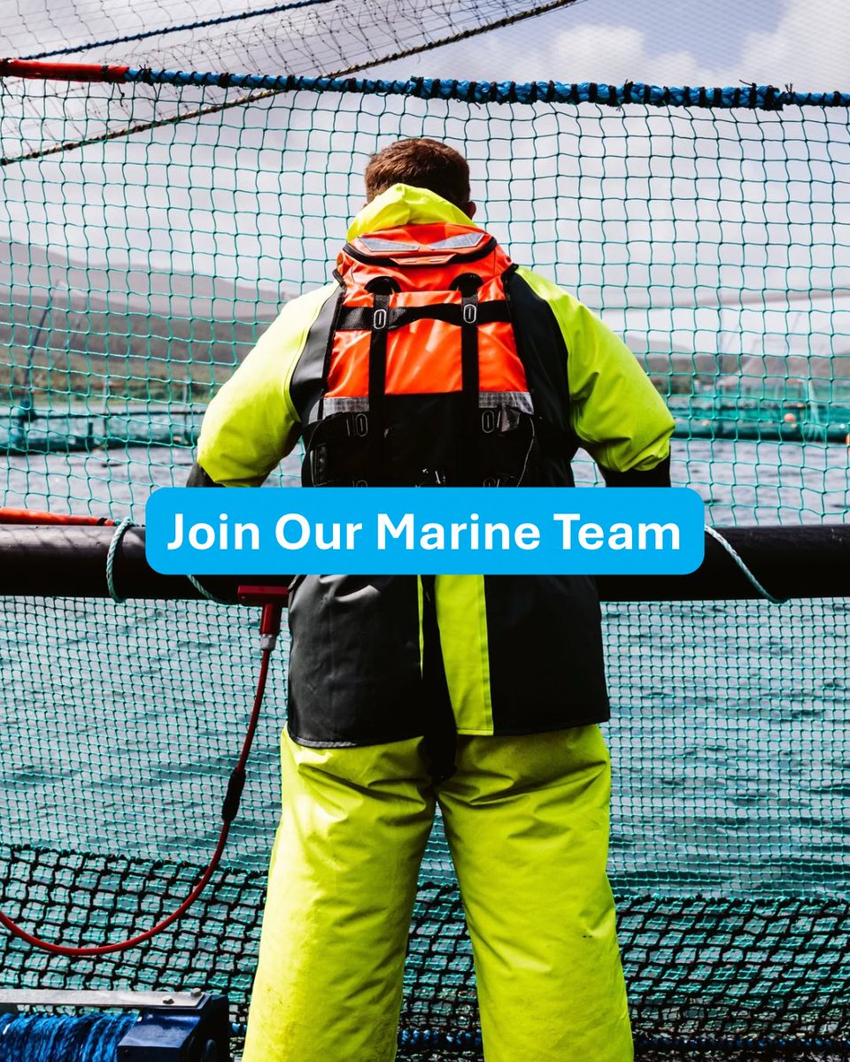 scotseafarms's tweet image. NEW VACANCY | SENIOR MARINE TECHNICIAN

If you’re an experienced Marine Technician ready for your next step, this could be the opportunity you’re looking for.

Interested? Find out more 👉 bit.ly/49ZCT2P 

#Hiring #Aquaculture #Vacancies #JobsShetland #Shetlandjobs