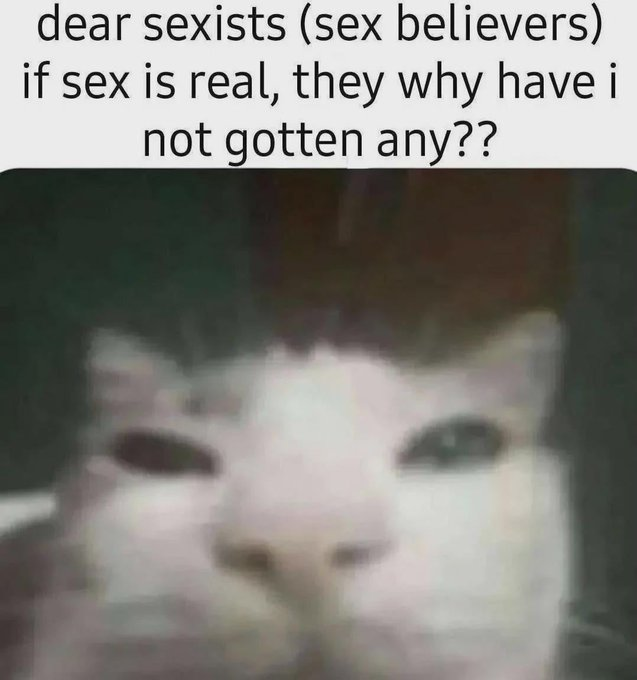 RealestMemes tweet media