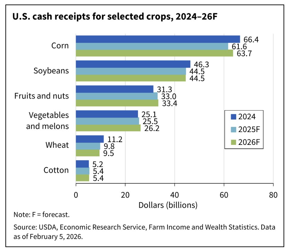 FarmPolicy's tweet image. 1/ #Crop #cash #receipts are forecast at $240.8 billion in 2026, an increase of $2.8 billion (1.2%) from 2025 in nominal terms (however, the 2026 forecast represents a decline in real #inflation-adjusted terms).

From the @USDA_ERS: tinyurl.com/3xvrjzhb