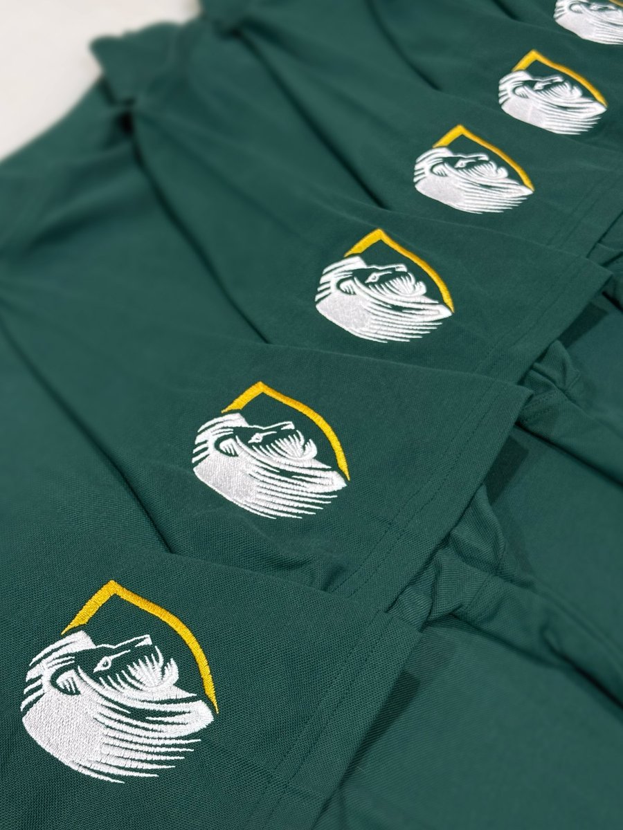 Wizard Embroidery tweet media