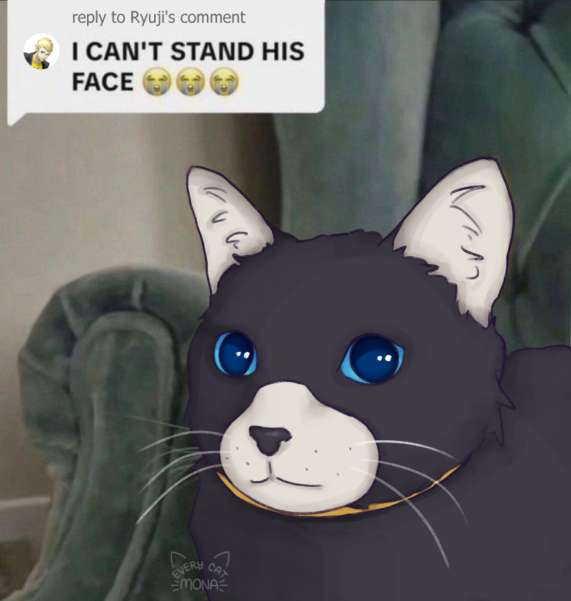 mona from persona (@everycatmona) on Twitter photo 