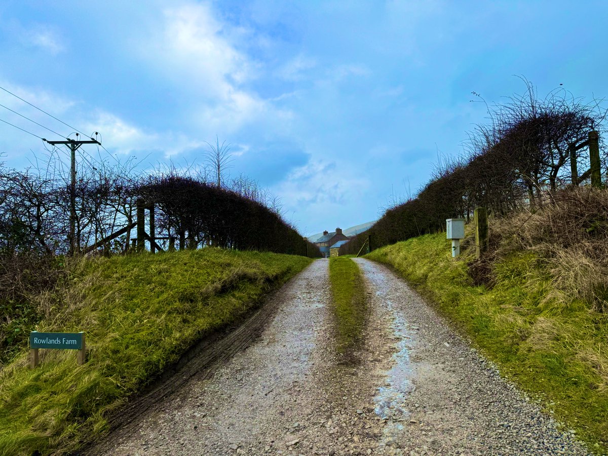 Jocaccia tweet media