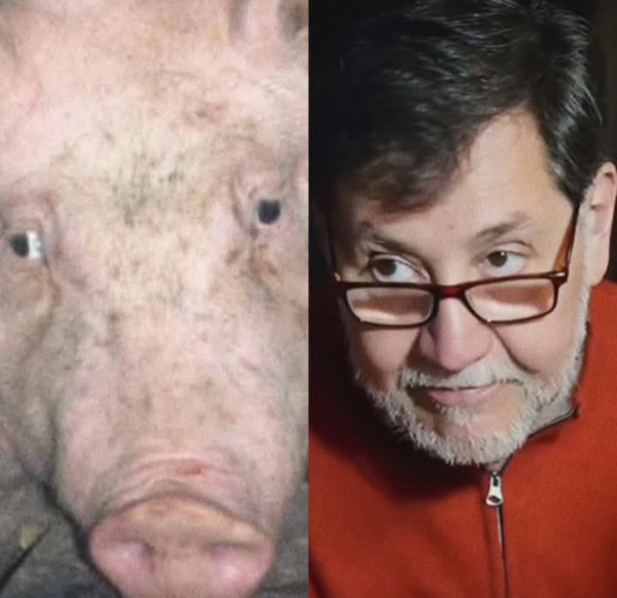edjuarezw1's tweet photo. @GuacamayanLeaks @fernandeznorona @AndreaChavezTre Que le den servicio a él para que lo afeiten y corten el pelo parece que no le alcanza lo que se roba MORENISTAS DE MIERDA. https://t.co/TyfX6Ehj5K