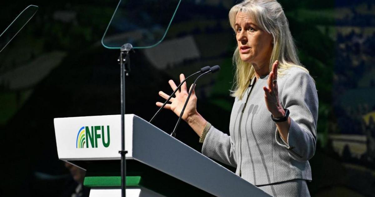 DEFRA has just two years to address the UK farming profitability crisis or risk the sector's economic model collapsing! champ.ly/ey9QQkBX