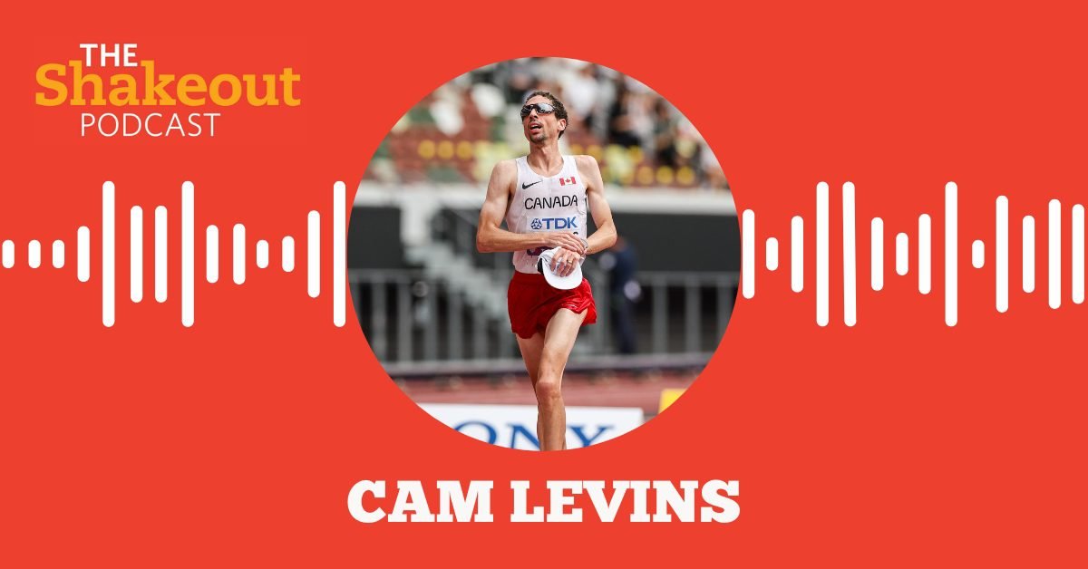 The Shakeout Podcast tweet media